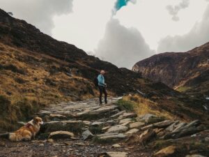 Wandelaar met hond op een bergpad in Snowdonia in Noord Wales